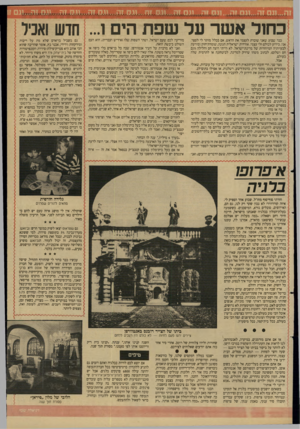 העולם הזה - גליון 2625 - 23 בדצמבר 1987 - עמוד 21 | תם זה״ וגס זה1.,,נם זה5,יגס זה ..וגס זה״1.גס זה* 1יוו.ח זה...ויק זהמ כחול א שר על שפ ת הים ...1חדש ואכיל כבר שבוע שאני שוברת לעצמי את הראש, אם בכלל מותר לי