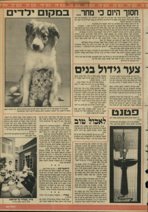 העולם הזה - גליון 2631 - 3 בפברואר 1988 - עמוד 21 | חסוך היום כי מחר... שלום. מה נשמע? זוכרים אותי? זאת שמדברת כל הזמן נגד הקידמה ונגד האלקטרוניקה? זאת שנשבעת באמא שלה ובאבא שלה ששום מדיח־כלים או מיקרוגל או