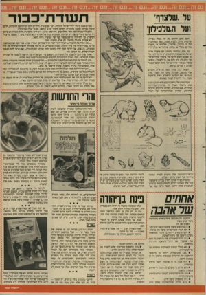 העולם הזה - גליון 2634 - 24 בפברואר 1988 - עמוד 33 | ת עו ד ת בסד על, שלצדף׳ ועל ה,מלכילון׳ בט׳׳ו בשבט קיבלו ילדי־ישראל תעודות. דבר שבשיגרה. הילדים הלכו הביתה עם התעודות, חלקם קיבלו נשיקה ומתנה מההורים וחלקם