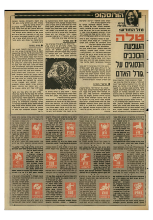 העולם הזה - גליון 2639 - 30 במרץ 1988 - עמוד 33 | הוו 1ס 3ו 9 1 מרים בנימיני מז ל החוד ש: השנעת הנונבים הנסוגים ער גודר האדם לאותו אדם להחמיץ דבר״מה שלקראתו טרח והתאמץ מרבית חייו. שלושה כוכבים משפיעים בעיקר על