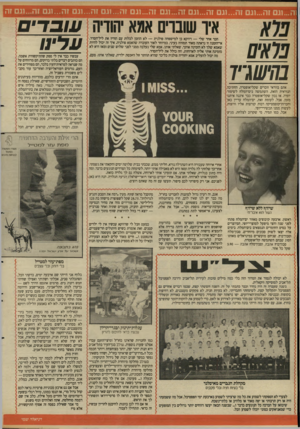 העולם הזה - גליון 2641 - 13 באפריל 1988 - עמוד 34 | 1ה...וגם זה...וגם זה...וגם זה...וגם זה...וגם זה...וגם זה...וגם זה...וגם זה...וגם זה1...גם זה איו שוברים אמא יהודיה חבר אחד שלי — דווקא בן למישפחה פולנית — לא