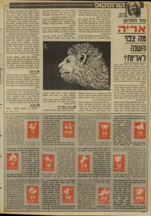 העולם הזה - גליון 2655 - 20 ביולי 1988 - עמוד 24 | הורוסהוס מרים בנימיגי מזד החזדש: אר״ ה מה צבו השנה לאריות^ ואף משאיר טעם לא־טוב והרגשת״ריקנות שקשה לשאת. פנויים רבים הרגישו חסרי־בית, אבל גם מי שקשורים בקשר