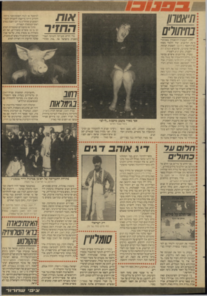 העולם הזה - גליון 2655 - 20 ביולי 1988 - עמוד 33 | או ת החדר חיאטחן בחיחורס החוג לאמנות־התיאטרון באוניברסיטת תל־אביב יכול ללמוד משהו מבית־הספר ביח־צב׳ לאמנות הבימה. כנראה שהמושג, שהמציא השלם הזה — יחצנות, טרם