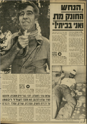 העולם הזה - גליון 2668 - 19 באוקטובר 1988 - עמוד 31 | ״ הנח ש החונק מת בנית!,, פני שבועות אחדים לכדתי עוד שור בכניסה לעיר. אילו היה ממשיך ומשתולל ברחובות בת־ים, היה גורס לאסון כפי שעשה השוד הקודם. ״אני זוכר את זה