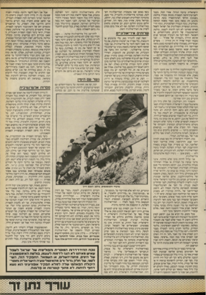 העולם הזה - גליון 2669 - 26 באוקטובר 1988 - עמוד 28 | ס 5 9 5 9ס ס 5 9 5 0 9ס > 0 9 0 0ס 5סססססססס 9ססס 9ס 66ס ס 4ס: ס י: ס :ס > :י: ס :ס: ס > :ס ס : הישראלית ברובה הגדול. אחרי הכל, מעבר לשביעות־הרצון העצמית מונחת