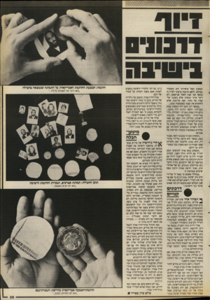 העולם הזה - גליון 2671 - 9 בנובמבר 1988 - עמוד 39 | המשיב בשל אישיותו הוא המחמיר מכולם. ולשם הדגמה ברצוני לצייז כי במשך חצי שנה לאחר שנישאנו, לא דיבר איתי המשיב אלא כשגבו אלי ופניו אל הקיר. זאת על־מנת שלא להחטיא