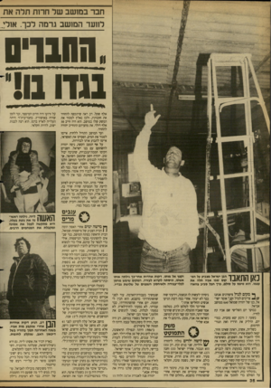 העולם הזה - גליון 2682 - 25 בינואר 1989 - עמוד 36 | חבר ב מו שב ש ר חרות תרהאת לוועד ה מו שב גרמה לכך. אולג_ 01103, 1גדו !11־ אלף שקל. דב ראה שיתקשה להחזיר את חובותיו, ולכן נאלץ למכור את המשק שלו במושב. הוא היה