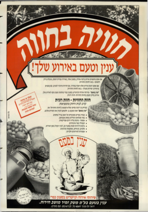 העולם הזה - גליון 2683 - 1 בפברואר 1989 - עמוד 2 | אם אתם מחפשים אירוע ברמה אחרת, בסגנון אחר, באוירה כפרית רגועה, טובלת בירק ודשאים ־ בואו לחוות החוויות. ; אם אתם רוצים אירוע שלא ישכח במהרה, עם חוויות שיזכרו
