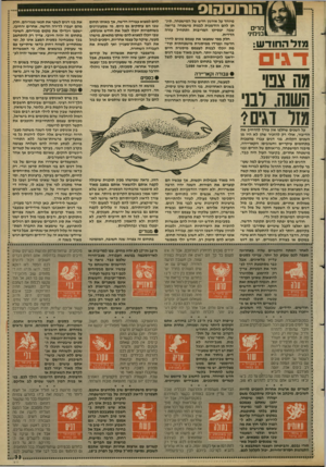 העולם הזה - גליון 2685 - 15 בפברואר 1989 - עמוד 33 | הורו ס הו ס מרי ם בנימיני מזלה חו ד ש: ד גי ם מה צט השנה. רבני מזו דגים? זיזי זיזיזיזיזיזיזיזי זיזיזיזיזיזי• זיזי• זיזי זיזיזיזיזיזי* השנים שחלפו אין צייד