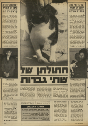 העולם הזה - גליון 2686 - 22 בפברואר 1989 - עמוד 13 | לשוכת־הדין נירה לידסקי יש חתולה. שמון מאשיטה לעווכת־הדין עדנה קנלן יש חתולה. קוראים לה תות ולא סיפרו את הסיפור שתיים /מעורכות־הדין המובילות במדינה, היה קשה