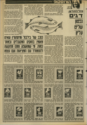 העולם הזה - גליון 2686 - 22 בפברואר 1989 - עמוד 31 | הורוסהוס מרים בנימי]־ מז ל ה חוד ש: דגי נפטון שליט עליון ההרגשה שיש מקורות אינסופיים חלפה. במפה אישית משפיע נפטון בצורה חזקה על הגילים הצעירים במיוחד. האנרגיות