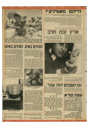 העולם הזה - גליון 2687 - 1 במרץ 1989 - עמוד 33 | היית מאמיני? כבר חודש שלם לא הופיע תת־מדור ״לא ייאמן כי יסופר״ שבו אני כותבת לכם על הדברים הבלתי־מתקבלים על הדעת שקורים לי, לבני־מישפחתי או לידידי הקרובים.