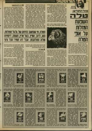 העולם הזה - גליון 2690 - 22 במרץ 1989 - עמוד 28 | הוחסקוס מרים בנימיג• מזל החודש: ה שנעח המזלות ער אוני הטרה מזל טלה הוא מזל ברור ובלתי-מסובך. נהוג לחשוב שבגלל היותו ראשון בגלגל־המזלות הוא עדיין לא הספיק להכיר