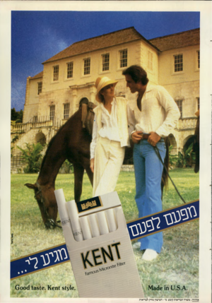 העולם הזה - גליון 2694 - 18 באפריל 1989 - עמוד 29 | 0״יי-י^יזיי־ .5 ט מ1^13016 1 אזהרה: משרד הבריאות קובע כי ־ העישון מזיק לבריאות )30001 1x181:6. 1)601: