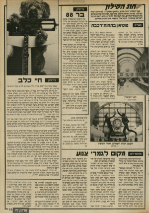 העולם הזה - גליון 2697 - 10 במאי 1989 - עמוד 34 | ^ ח 1נ ח 3י ל 1ן -- בעל המדור הזה מגיע, בתוקף תפקידו, לבירות רבות בעולם. מכיוון שהוא סקרן מטיבעו, ומכיוון שהוא אוהב את הנאות־החיים, את המיוחד והחריג, הוא רואה