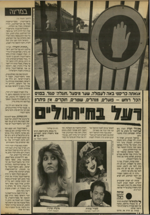 העולם הזה - גליון 2699 - 24 במאי 1989 - עמוד 14 | בבזרעגז (המשך מעמוד ) 13 כז־אמריקאית: מפקד־המישטרה מקלל את חבר־הפרלמנט, והרדיו הממשלתי משדר את הקללות. ברפובליקת־בננות מרכז־אמרי־קאית יכול להיות לדבר גם המשך: