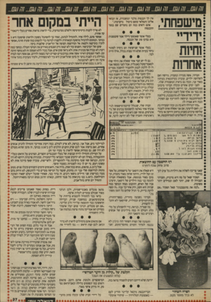 העולם הזה - גליון 2711 - 16 באוגוסט 1989 - עמוד 37 | מישפחוזי, ידידיי שיות אחרות חברתי, אשה צעירה ונחמדה, גרושה ואם לשלושה ילדים, עובדת כעיתונאית בעיתון מאוד עני, וככה גם נראית המשכורת שלה. לפני ימים אחדים קיבלה