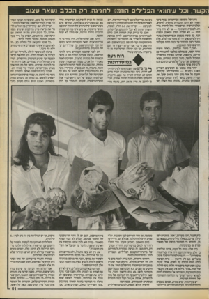 העולם הזה - גליון 2716 - 20 בספטמבר 1989 - עמוד 51 | הק שר, וכל עיתונאי הפלילי ם הוזמנו לחגיגה. רקהכלב נשאר ע צוב ביתו של מוצטפא אבררמדאן נבחר כיעד ראשי. לא היתה התנגדות מיוחדת לחיפוש, וכלב־הגישוש המישטרתי החל