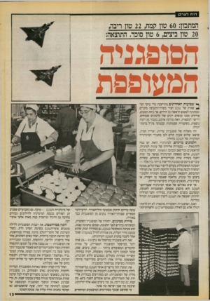 העולם הזה - גליון 2729 - 20 בדצמבר 1989 - עמוד 13 | דו ח לצרכן המתכון 60 :טון קמח 22 ,טון ריבה, 20 טון ביצים 6 ,טון סוכר. התוצאה: הסופגניה המעופפת ^ שבועות האחרונים מתייצבת מדי בוקר הכד שאית של שקם חצור