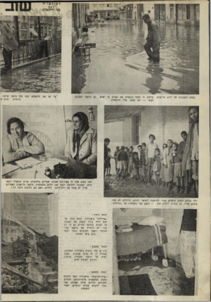 העולם הזה - גליון 638 - 7 בינואר 1950 - עמוד 10 | באחת השכונות של דרום תל־אביב. ברחוב זה חפשו הגשמים את הביוב עד יאוש. חפשו — ולא מצאו. אלה התוצאות. גם תושבי השכונה על יפו אין להתפלא. סוף סוף היתר, שייכת