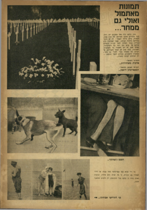 העולם הזה - גליון 641 - 26 בינואר 1950 - עמוד 19 | תמונות מאתמול ואולי גם ממחר... שוב תלשנו עלה אחד מאלבום ישן נושן. הננו מחזירים אתכם לאירופה של שנת . 1920 לכאורה, עולם מיוחד לעצמו: זה לא מכבר נסתיימה מלחמת