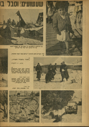 העולם הזה - גליון 644 - 16 בפברואר 1950 - עמוד 10 | שעששים וסבר בו גם החלוצים הראשונים גרו כאהלים, אך מצבם הנפ שי אז היה אי תן יותר מזה של העולים. ילדי העולים אינם מוגנים די צרכם כפני תנאי המחנות. ״הפוגה״ כתפ קי