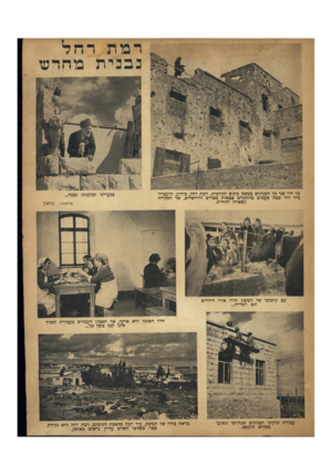 העולם הזה - גליון 646 - 2 במרץ 1950 - עמוד 19 | רמת רחל נבנית מחדשו כף היו פני כל הבניניס במשק בתום הקרבות. רמת רחל, כידוע, הועברה מיד ליד כמה פעמים בהתקרב צבאות מצרים לירושלים, איד הנקודה נשארה יהודית.