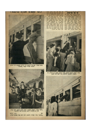 העולם הזה - גליון 648 - 16 במרץ 1950 - עמוד 19 | ער שני התיישים נתברכנו ברכבת ישראל ואפשר לעלות בה ירושלימה. הלאה האוטובוס — אמרתי בלבי — הלאה הצפיפות׳ הלאה מכוניות הסקסי היקרות׳ אסע לי ץ־ו־שלימה בשקט ובנחת׳