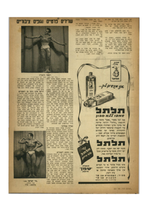 העולם הזה - גליון 651 - 13 באפריל 1950 - עמוד 9 | שע. חייכם, לולא חמור זה, ספק אם היינו באים לחוג את הפורים. פגשהו ״נו, מה בענין החמור?״ החצרן ושאל. ״הכל מסודר ! מכרתיו לפלאח בחמש עשרה ל״י. לך והבא את החמור !״