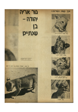 העולם הזה - גליון 652 - 20 באפריל 1950 - עמוד 10 | מראריה יח\רה- (סנתייס וכך קמה המדמה! ״אני מאמין להחלטת או״ם...״ צילומים: בנו רותנברג ימי צנע : ״הצפדנים שלי חדות ואני יודע להשתמש בחן!״ העצמות משרפות, אך המן?