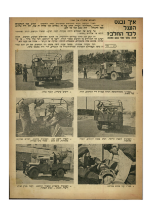 העולם הזה - גליון 652 - 20 באפריל 1950 - עמוד 19 | איך נכנס העגל לכד החלב? מחנה בלשי אמתי בשש תמונות חשבתם שלפרות אץ שכל? משרד הקיצוב הקים מיתרסים ומחסומים. אחת החלטתו -למנוע כעד הסתננותן של הפרות ״השחורות״