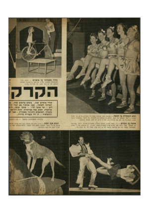 העולם הזה - גליון 656 - 18 במאי 1950 - עמוד 10 | מחזה משפחתי על אופניים -וינצנם בכלר ובת־אחותו החמודה, בת .9יש להם ״זירהטרן ן״ משלהם בלוזאן, אך יש להם חשק, הם מטיילים בחו׳׳ל. אחרי אלפיים שנה ...בימים טרופים