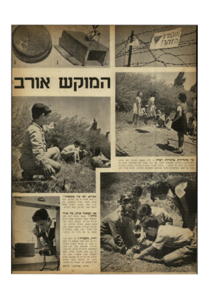 העולם הזה - גליון 656 - 18 במאי 1950 - עמוד 2 | המוקש אורב רך מתהילות טרגדיות רכות -ליד המשק, בקרבת נפר נמוש. בשדות־קרב עזובים, משחקים ילדים. הם כבר שכחו את המלחמה. אולם צל המוות עוד מוטל על הארץ — בדמות