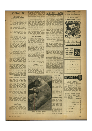 העולם הזה - גליון 657 - 25 במאי 1950 - עמוד 14 | מכל העולם החל מהשבוע יוגרלו בכל שבוע צ פרפי־ספרים כין פותרי התשבצים. את הפתרונות יש לשלוח עד יום ד׳. מחלקים את עור הזאב היה זמן שהדיקטאטורים נכנסו לאופנה.