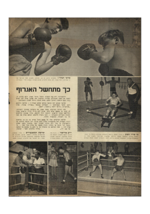 העולם הזה - גליון 657 - 25 במאי 1950 - עמוד 2 | א לו פי המחר ׳1מתתיהו קרנץ, בן 12 מימין) מתגונן מפני אגרופו של דן שטינמן (באה שער) .הם באים למועדון שלוש פעמים בשבוע אחרי השעורים. כך מתחשל האגרוף ההתאגרפות