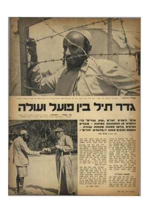 העולם הזה - גליון 658 - 1 ביוני 1950 - עמוד 3 | מאחרי גדריתיל — המשמרות חוסמות את השער. יחיה סלם שולח מבט נוגה אל המכוניות שבאו לקחתו לעבודה. לא כך תאר לעצמו א׳וז החודש ׳הראשון בישראל... \דד תיל בין פועל