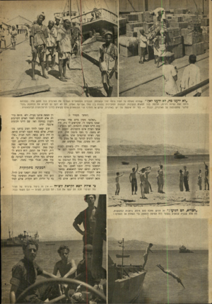 העולם הזה - גליון 662 - 29 ביוני 1950 - עמוד 4 | ״לא ידענו מה, לא ידענו לאן!״ שמירה מעולה על הסוד היונה יסוד ההצלחה. הסבלים הסומאליים העמיסו את הארגזים ככל טטען אחר. בעיניהם היתה זאת ספינה רגילה, הדוחה בכל
