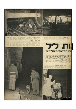 העולם הזה - גליון 663 - 6 ביולי 1950 - עמוד 11 | קפה ״כפית״ :אורות ץ לפני שעה היה המקום כמעט ריק. בחצות מופיעים ״החשובים״ — והפחות ׳חשובים. מעט תרבות, מעט אמנות — והרבה, הרבה רכילות. אכן, זהו בית היוצר לתרבות