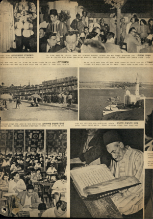 העולם הזה - גליון 671 - 31 באוגוסט 1950 - עמוד 13 | חכרה גבוהה: מלו! מטרופוליטן בקאהיר הוא אחד מעשרות המקומות המפוארים בהם אפשר ״לבלות״ .שם תמצא אנשים מכל העולם: אנגלים, צרפתים, יוונים, איטלקים, ו מצרים. לעתים