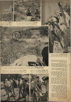 העולם הזה - גליון 672 - 7 בספטמבר 1950 - עמוד 5 | המארס: בעוד השוטר מוצב בנקודת התצפית ו מוכן לפעולה (שמאל למעלה) קובע מוואדג׳ה וולף את פרטי הפעולה. מימין שלום כהן׳ המשתתף כחייל ותיק בדיונים אלה. הסימן: הצופה