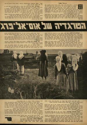 העולם הזה - גליון 683 - 30 בנובמבר 1950 - עמוד 3 | מאת אורי אבניי ־ם־אל־פרג — היתר, דומה בדיוק למאות כפרים ערביים אחרים בפלסטין. כמד, משפחות של פלאחים מרודים 150 ,דונם של אדמה, כמה בתים דלים. בני הכפר גדלו על