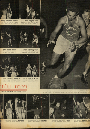 העולם הזה - גליון 686 - 21 בדצמבר 1950 - עמוד 10 | הכדור מתעופף גאויר. השופט זורק את הכדור לגובה — והמשחק בין ״הפועל״ ו״הרכבת״ כבר התחיל. הכדור עוכר לפנה השניה. החלוץ הימני נחלץ מן המצור — הוא סוסי את הכדור