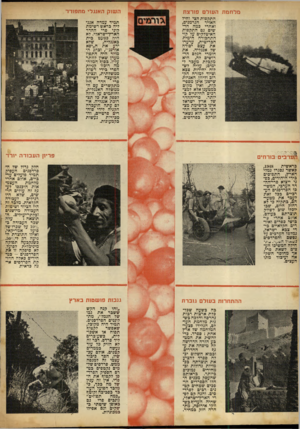 העולם הזה - גליון 686 - 21 בדצמבר 1950 - עמוד 6 | מלחמתה עול ם פור צ ת התקפות הצי וחיי האויר הגרמנים, ואחרי כמה חדשים גם התקפות האיטלקים על קוי התחבורה הימית הבריטית, ערערו את עצם יסודה של אנגליה. את חומרי