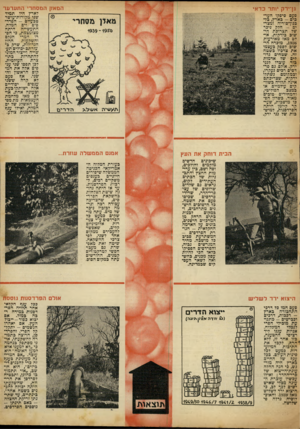 העולם הזה - גליון 686 - 21 בדצמבר 1950 - עמוד 7 | המאזן המסחרי ה ת ער ע ר גן־ירק יותר כד אי לארץ היו תמיד שני מקורות־עושר טבעיים -הפרדסים וים המלח. התעשייה היתה מצומצמת, כי חסרו המרי הגלם ההון והשקעות הגדולות,