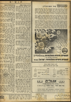 העולם הזה - גליון 691 - 25 בינואר 1951 - עמוד 14 | חנשי 0 (! 1303 3 1 ( §1סוד הפ ני צי לי ן הפניצילין. שכולו בריטי מצד מוצאו והתפתחותו. הוכר בכל דעולם כאחד מכבושי המדע הכבירים שבכל הדורות. את המצאתו נשנוז 1929