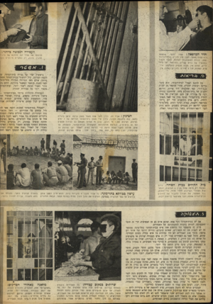 העולם הזה - גליון 691 - 25 בינואר 1951 - עמוד 8 | העכירה הנפוצה כיותר: חדר המרפאה: א0יר ׳הדהוי, י שנשפט בכובעו של אסיר זנב מוחבא של ס־;וי .הרגיל: צינוק. רק במקרים מיוחדים נוספ ,ל־ 4שנות מאסר, בעוון שוך