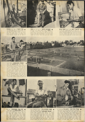 העולם הזה - גליון 708 - 24 במאי 1951 - עמוד 15 | הדוקטוי ר,דא. אם לי מלאו לאשר כלוט רק 19 שנה, הרי כבר קנה את שמו. במשך שש עד שבע שנים שיחק כדורגל ; בגיל ^ 14 שיחק בהפועל הצפון (בהדרכת זאב פורמן) .בגלל הפסקת