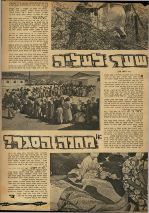 העולם הזה - גליון 709 - 31 במאי 1951 - עמוד 3 | אולם בצד המיבנים שהוקמו, לא הוקמו סידורי סאניטציה, מים, ביוב. באותו אזור קיים בית־שימוש משותף לגברים ולנשים. באוהל אין לאיש מה לעשות — מלבד העמידה האינסופית