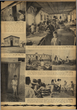 העולם הזה - גליון 709 - 31 במאי 1951 - עמוד 4 | הדרן־ לתל אביב: בטבור המחנה שורת צריפונים— לשכות ההרשמה לארגוני התישבות. לקיאת העולים הנרשמים קורץ יתרון אחד: הם יוצאים את המחנה מיד. ולאחר שהייה של מספר
