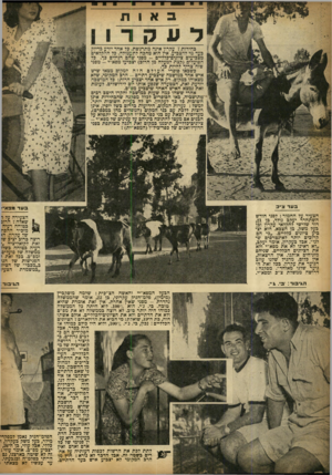 העולם הזה - גליון 716 - 19 ביולי 1951 - עמוד 8 | ב א 1ת ד 11ק יודע בדיור1, מתרגשת 1.כדראחד1ן בחירות ז עקרון איכה בעד מי להצביע. אין הוא מחכה לתעמולה. כל החקלאים מצביעים ציונים־־כלליים -מפני שהם רגילים כך. כל